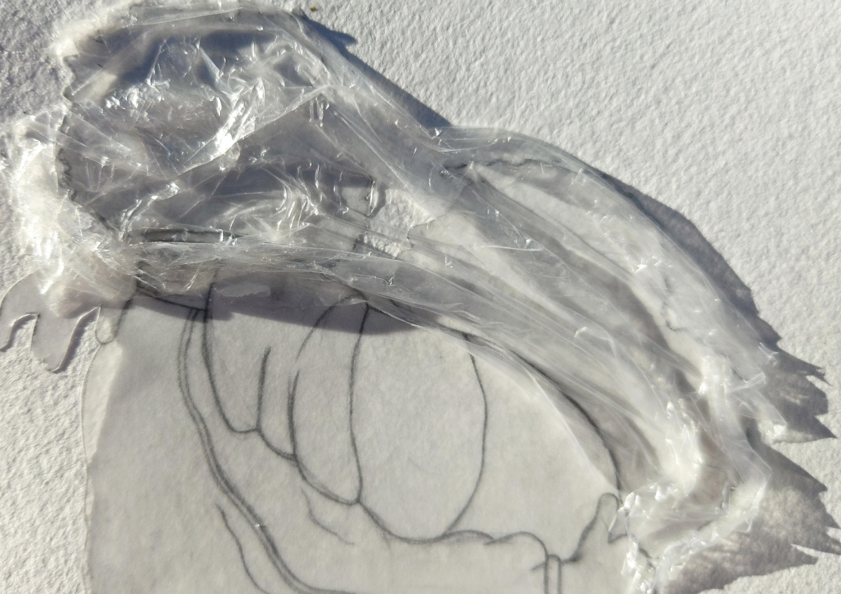 Shadow play (detail), Hope River, 2024, tracing paper, pencil, and cling film on paper, 42 x 59.4cm